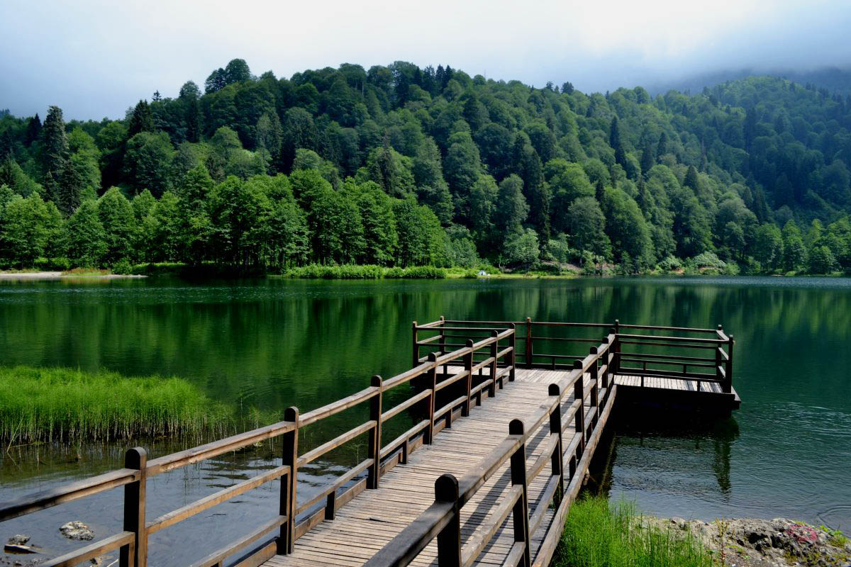 Artvin Borçka Deprem