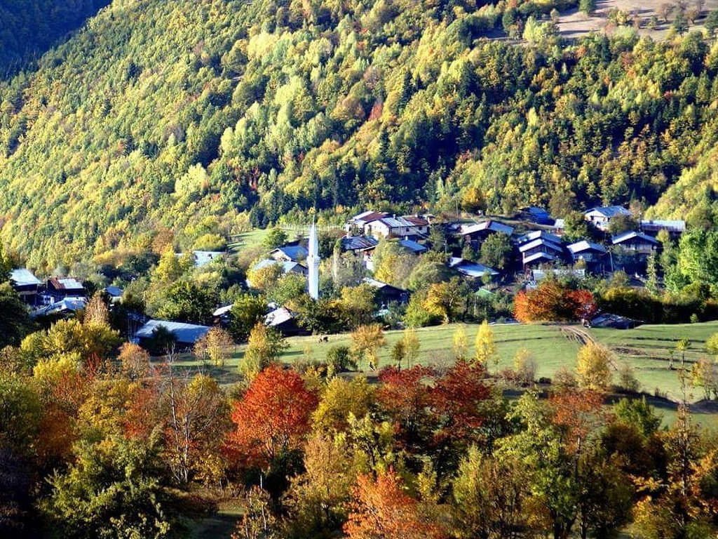 Artvin Savsat Deprem