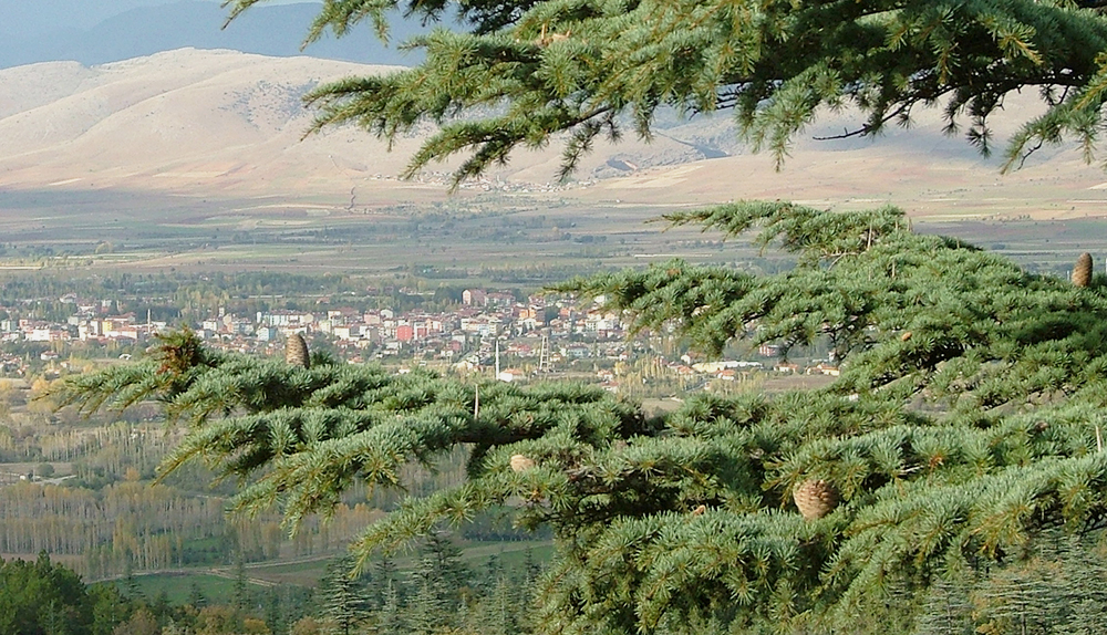 Isparta Sarkikaraagaç Deprem