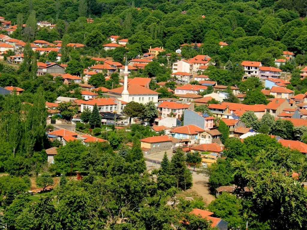 Izmir Ödemis Deprem