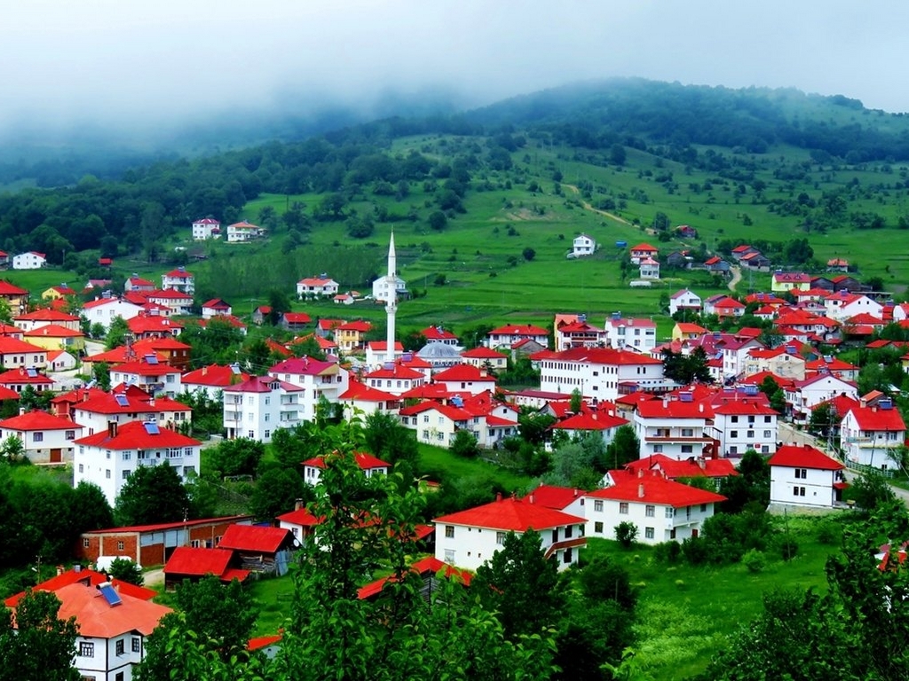 Ordu Mesudiye Deprem