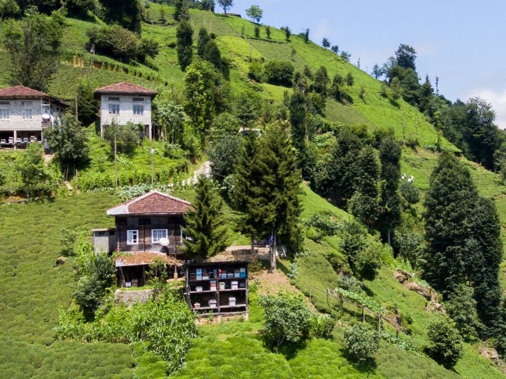 Rize Çamlihemsin Deprem