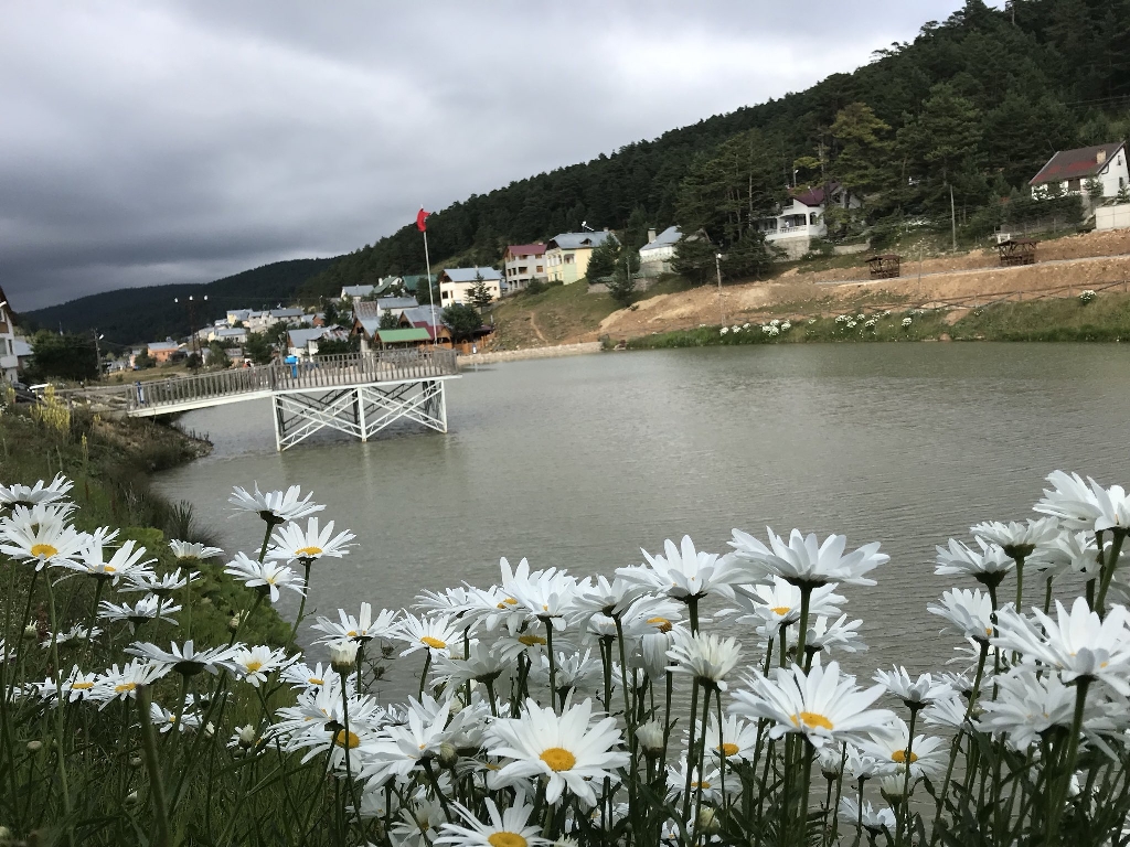 Sivas Koyulhisar Deprem